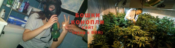 мескалин Бородино