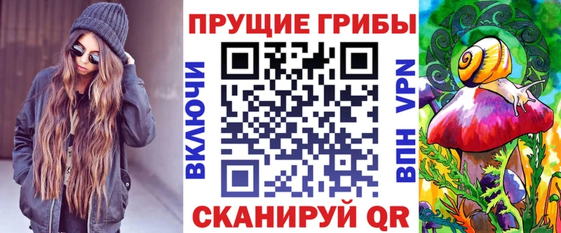 Галлюциногенные грибы Cubensis  как найти закладки  Гудермес 