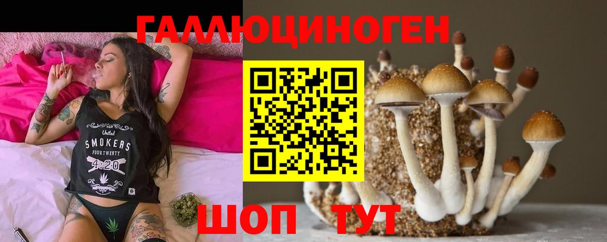 Гудермес  Псилоцибиновые грибы мицелий  Псилоцибиновые грибы Psilocybe  Вход с VPN 